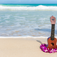 ukelele and leis on beach