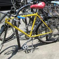 Bikes parked on a street in Corvallis