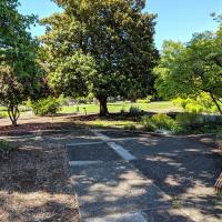 City park on a sunny day