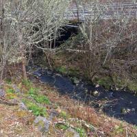 Dunawi Creek