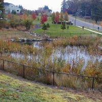 Stormwater detention pond