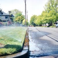 Lawn irrigation spilling into the street