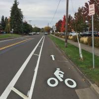 Buffered bike lane with white painted markings on asphalt.