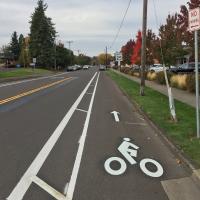 Buffered bike lane with white painted markings on asphalt.