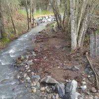 Small urban stream with gravel along the bank and small trees growing nearby. 