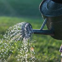 Image of watering can pouring water outside