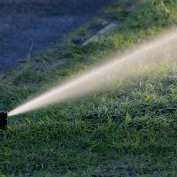 Sprinkler spraying grass