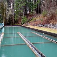 Blue water in an outdoor water treatment plant
