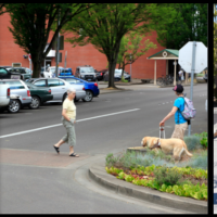 Safe Streets for All 