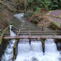 Water intake screen and waterfall in the forest