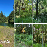 Photo collage showing four newly installed signs with indigenous Kalapuya names for creeks in the Rock Creek Watershed