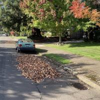 Leaf collection Leaf piles on the street