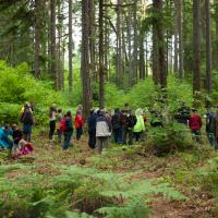 A group of visitors on a guided tour in the Corvallis Forest. 