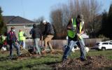 volunteers planting trees in riverbend park