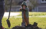 little kid digging to plant tree