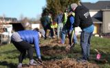 volunteers planting trees in riverbend park