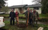 Group with new tree