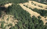 Chip Ross Ariel Flight Photo-17