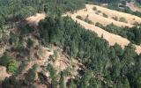 Chip Ross Ariel Flight Photo-18
