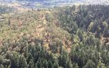 Chip Ross Ariel Flight Photo-24