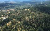 Chip Ross Ariel Flight Photo-28