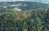 Chip Ross Ariel Flight Photo-2