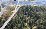 Chip Ross Ariel Flight Photo-4