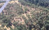 Chip Ross Ariel Flight Photo-6