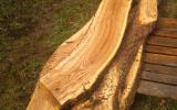 Kentucky coffee tree lumber