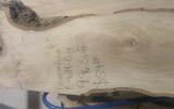 London plane board