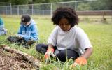 YVC Volunteers Weeding
