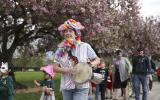 Nature Parade