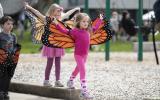girl with butterfly wings