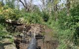 Living with beavers agricultural photos
