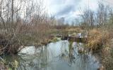 Living with beavers agricultural photos