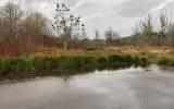 Living with beavers agricultural photos