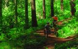 Corvallis Bike Park Project