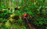 Corvallis Bike Park Project