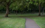 walking path with trees