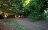 trail around starker arts park