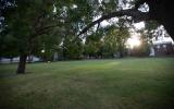 grassy area