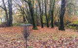 Disc Golf