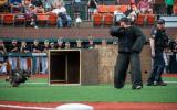 K9 demonstration on a baseball field