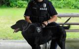 police officer with his dog