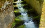 Fish Ladder