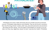 what are phthalates