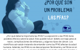 ¿Por qué son un problema las PFAS?