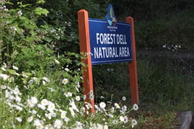 Forest Dell natural area entrance 