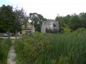 A home surrounded by tall weeds and grass