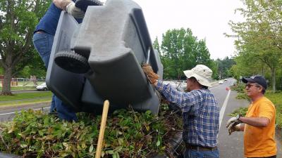 Birdie neighbors address blackberries issues along SW 35th Street.